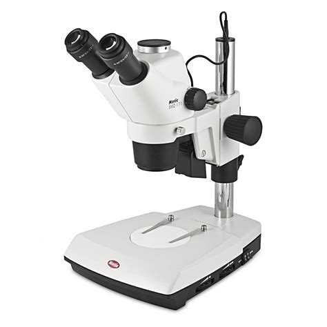 dissecting microscope|Stereo microscope .